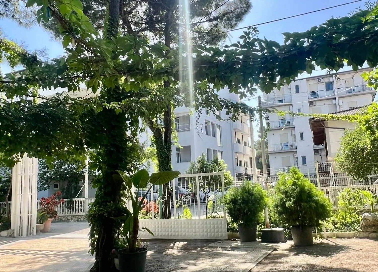Hotel Andrea Velipojë